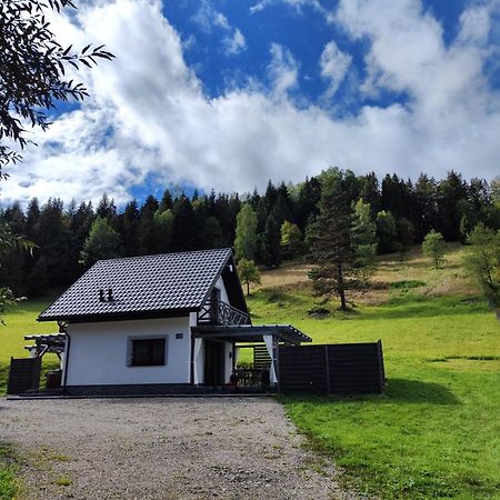 Lesny Zaulek Villa Muszyna Bagian luar foto