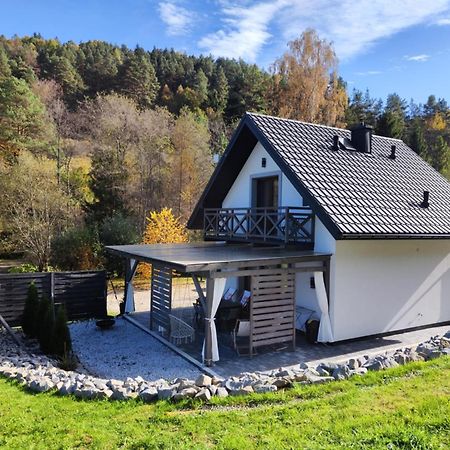 Lesny Zaulek Villa Muszyna Bagian luar foto