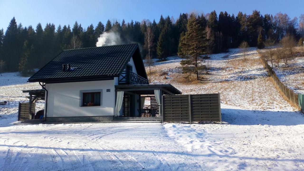 Lesny Zaulek Villa Muszyna Bagian luar foto