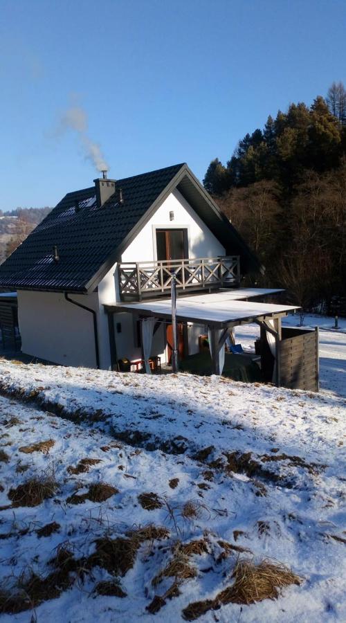 Lesny Zaulek Villa Muszyna Bagian luar foto