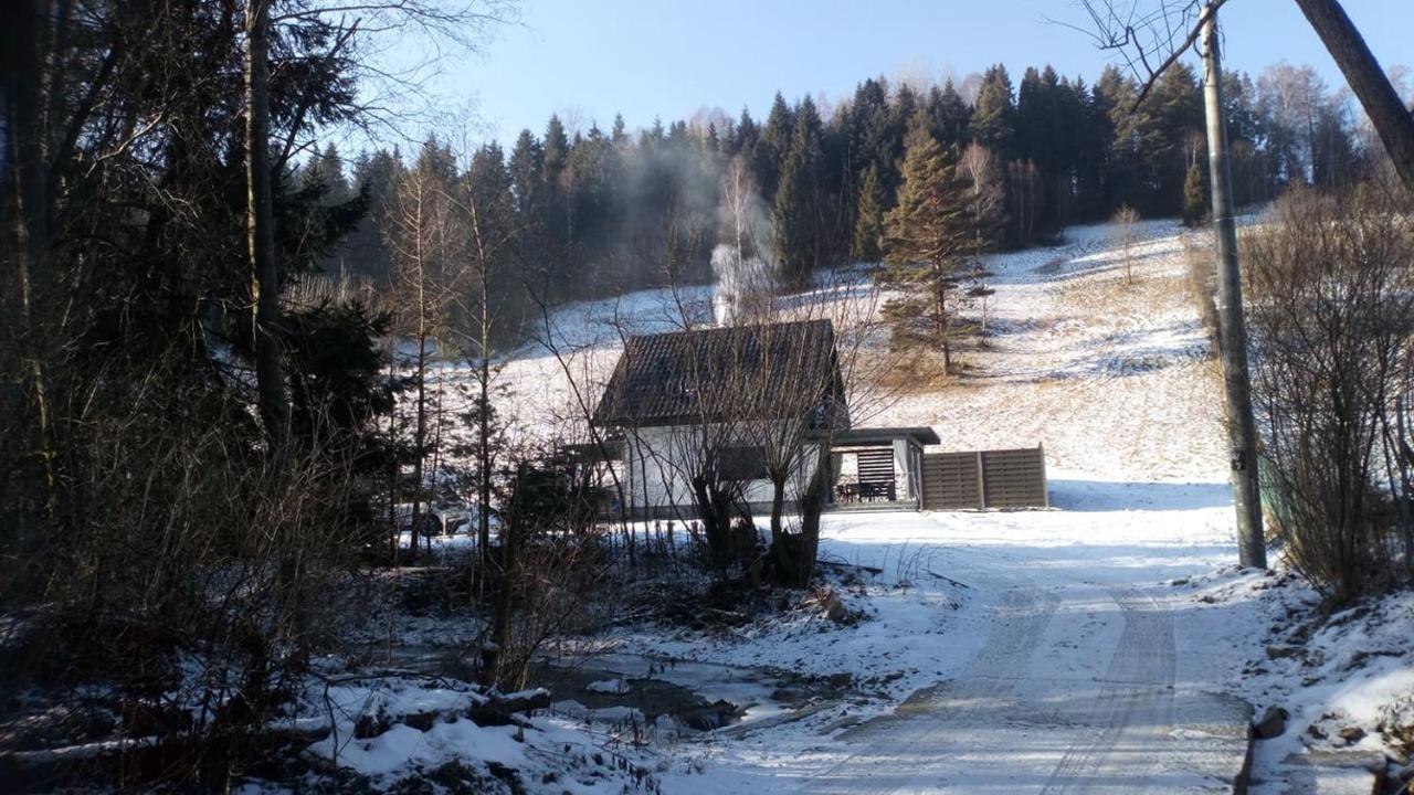 Lesny Zaulek Villa Muszyna Bagian luar foto
