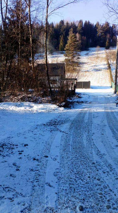 Lesny Zaulek Villa Muszyna Bagian luar foto