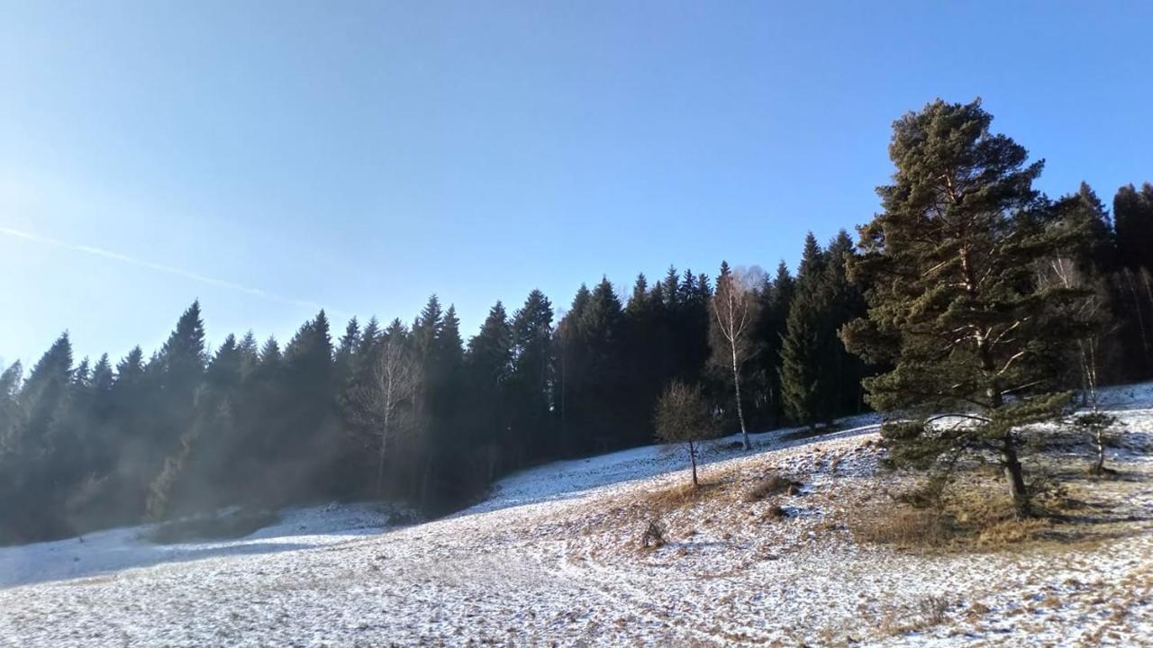 Lesny Zaulek Villa Muszyna Bagian luar foto