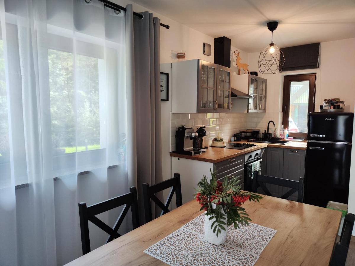 Lesny Zaulek Villa Muszyna Bagian luar foto