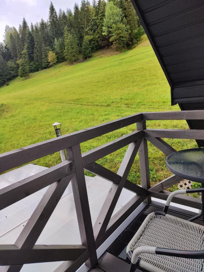 Lesny Zaulek Villa Muszyna Bagian luar foto