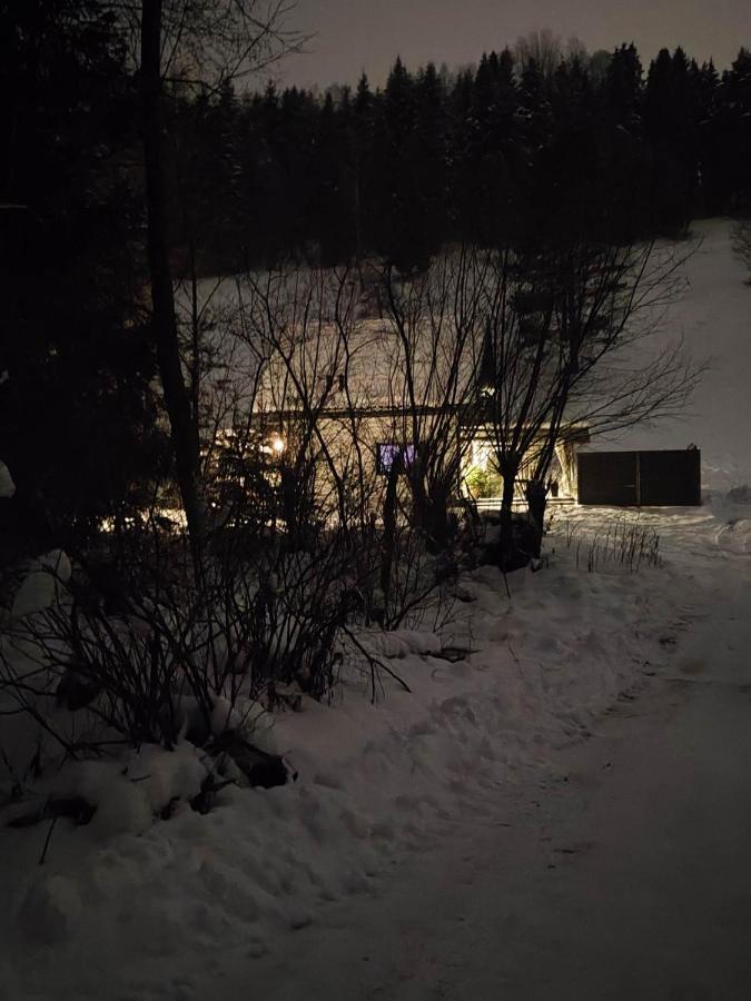 Lesny Zaulek Villa Muszyna Bagian luar foto